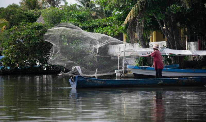 From Veracruz: Nature & Seafood Boat Tour to Madinga - Key Points