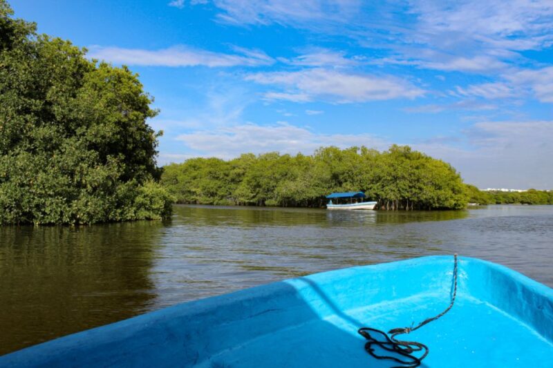 From Veracruz: Nature & Seafood Boat Tour to Madinga - Scenic Boat Tour
