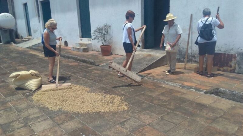 From Veracruz or Boca Del Río: Coffee Tour in Coatepec - Itinerary Details
