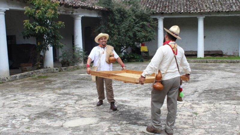From Veracruz or Boca Del Río: Coffee Tour in Coatepec - Pickup and Drop-off Locations