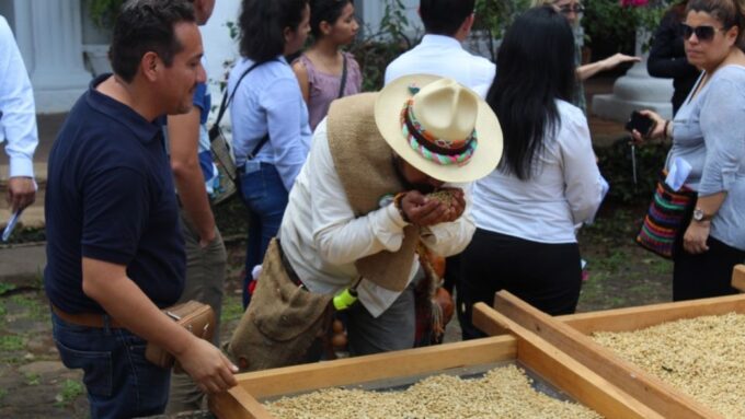 From Veracruz or Boca Del Río: Coffee Tour in Coatepec - Transportation to Coatepec