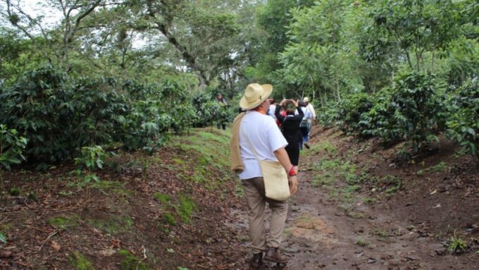From Veracruz or Boca Del Río: Coffee Tour in Coatepec - Frequently Asked Questions