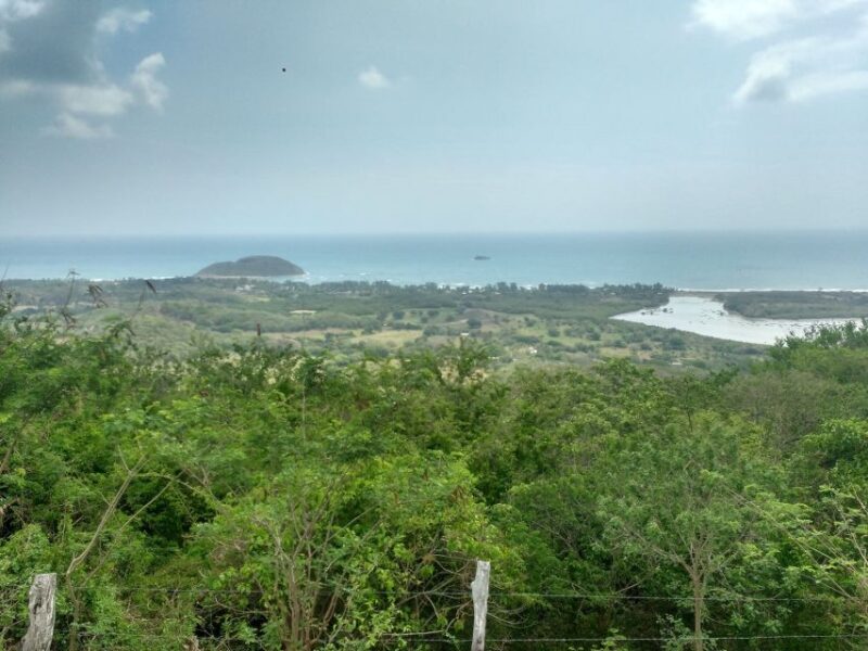 From Veracruz: Quiahuiztlan, Cempoala & La Antigua Tour - Customer Feedback and Reviews
