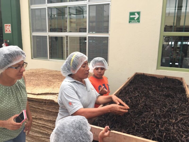 From Veracruz: Tajin Day Trip With Vanilla Factory Visit - Pricing and Inclusions