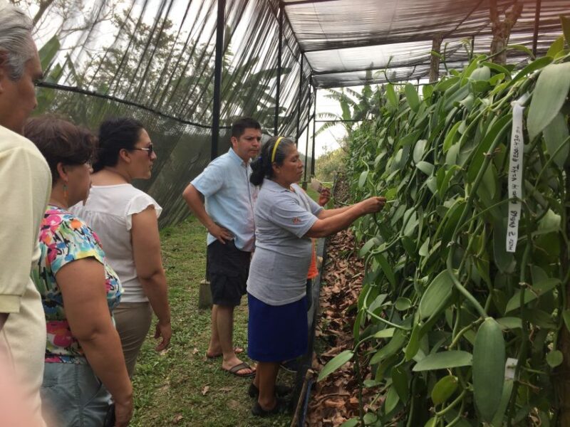 From Veracruz: Tajin Day Trip With Vanilla Factory Visit - Recommended Gear