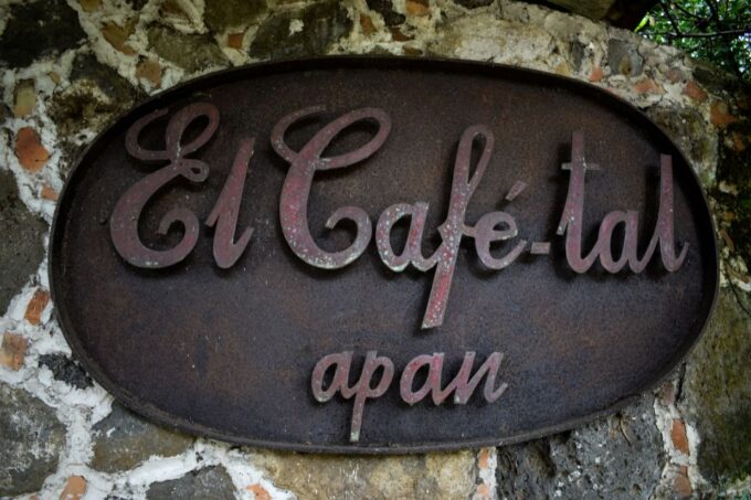 From Veracruz: Xalapa, Xico & Coatepec Culture & Coffee Tour - Preparation and Recommendations