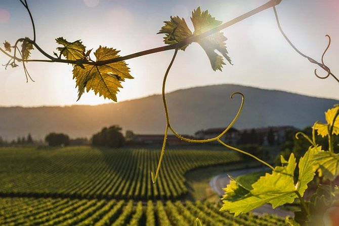From Verona and Garda: Visit to Sirmione and Lugana Wine Experience - Pricing and Cancellation