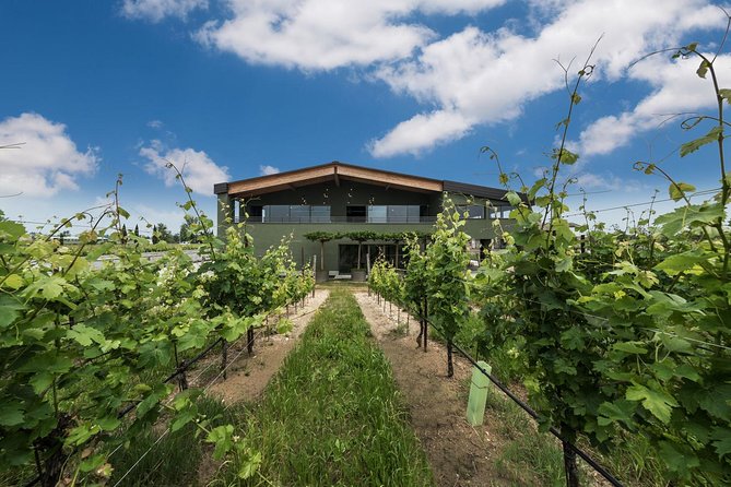 From Verona and Garda: Visit to Sirmione and Lugana Wine Experience - Accessibility