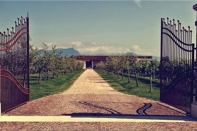 From Verona and Garda: Visit to Sirmione and Lugana Wine Experience - Lugana Wine Tasting