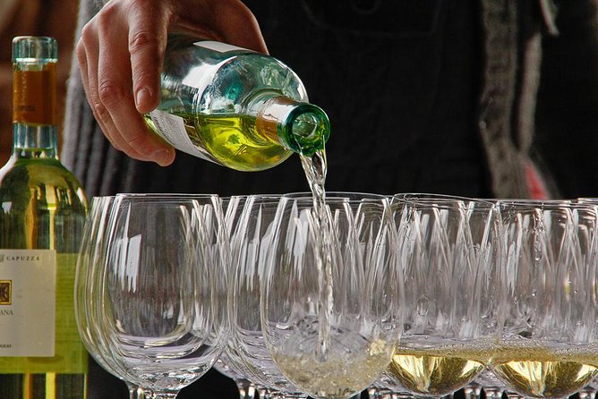 From Verona and Garda: Visit to Sirmione and Lugana Wine Experience - Frequently Asked Questions