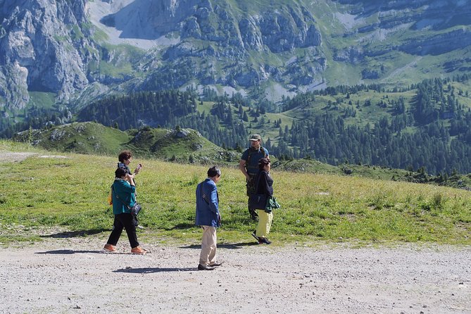 From Verona: Full-Day Dolomites Mountains Trip - Traveler Feedback and Ratings