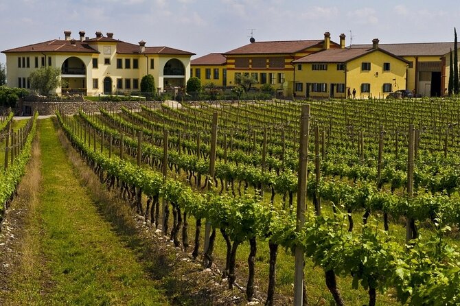 From Verona: Private Trip to Sirmione Lake Garda & Valpolicella Wine Region - Private Wine Tasting Experience