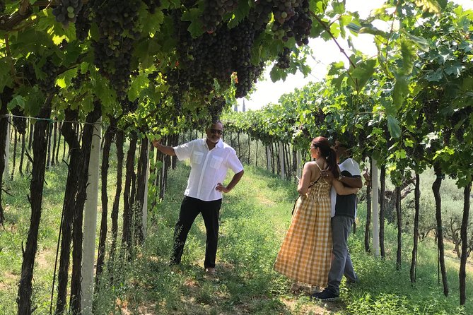 From Verona: Prosecco & Classic Method Sparkling Wine Tour, With Light Lunch - Inclusions and Highlights