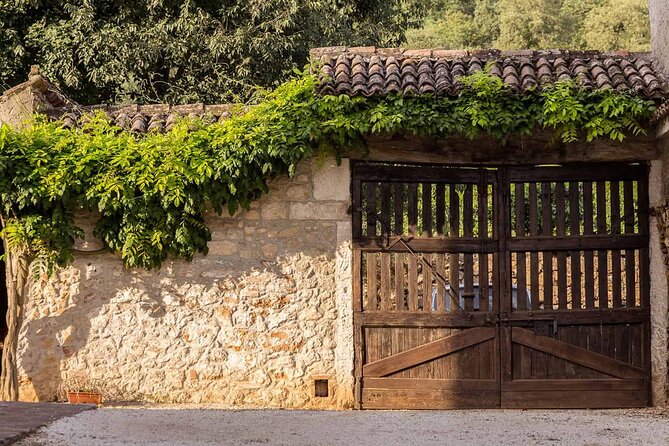 From Verona: Prosecco & Classic Method Sparkling Wine Tour, With Light Lunch - Booking Information and Pricing