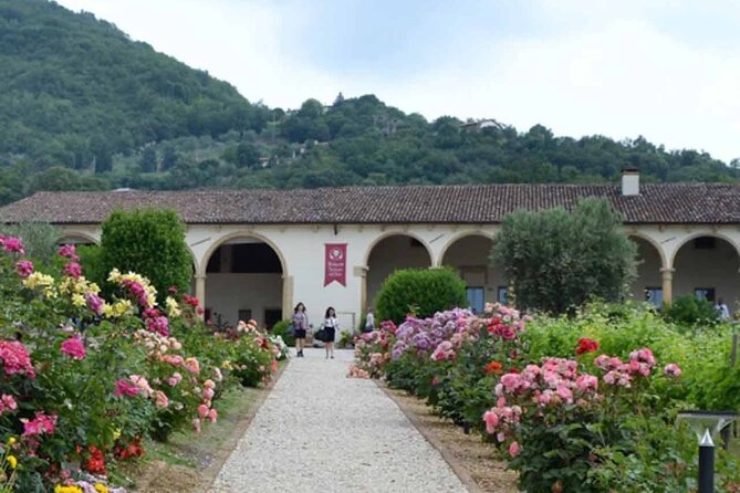 From Verona: Prosecco & Classic Method Sparkling Wine Tour, With Light Lunch - Prosecco Winery Visits