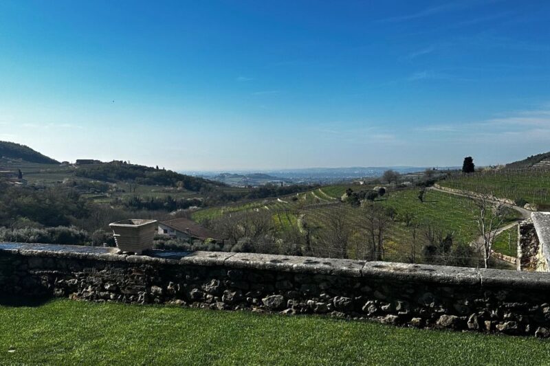 From Verona: Valpolicella and Amarone Full Day Private Tour - Itinerary Details