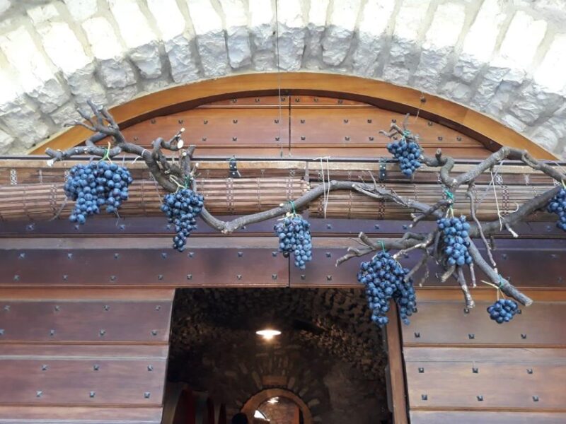 From Verona: Valpolicella and Amarone Full Day Private Tour - Winery Tour