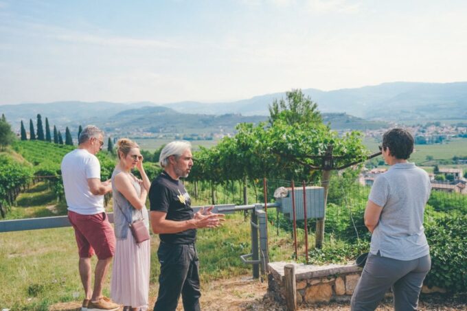 From Verona: Valpolicella and Amarone Wine Tasting Tour - Transportation and Guide