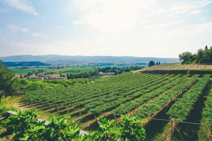 From Verona: Valpolicella and Amarone Wine Tasting Tour - Booking and Cancellation