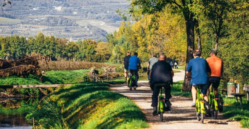 From Verona: Valpolicella and Countryside E-Bike Wine Tour - Key Points