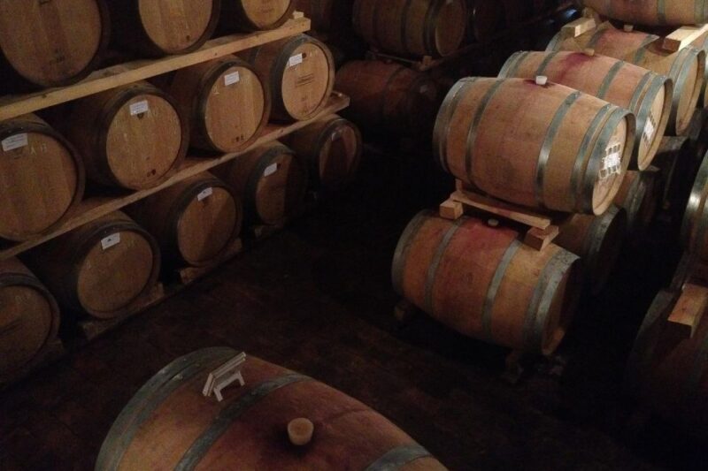 From Verona: Valpolicella and Countryside E-Bike Wine Tour - Tour Details