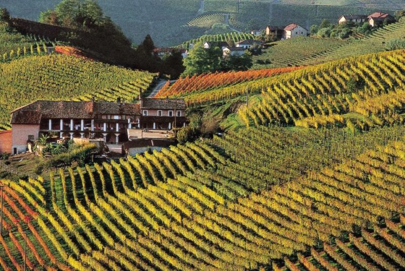 From Verona : Valpolicella Wine Experience - Pickup and Transportation
