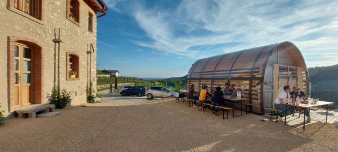 From Verona: Valpolicella Winery Tour With Amarone Vintages - Availability Confirmation