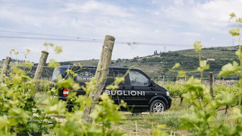 From Verona: Valpolicella Winery Tour With Tastings - Culinary Highlights