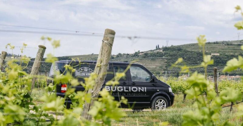 From Verona: Valpolicella Winery Tour With Tastings - Meeting Details