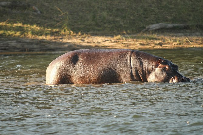 From Victoria Falls: Chobe National Park Small Group Tour - Cancellation Policy