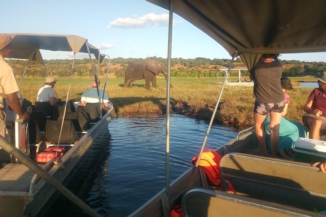 From Victoria Falls: Chobe National Park Small Group Tour - Booking Information