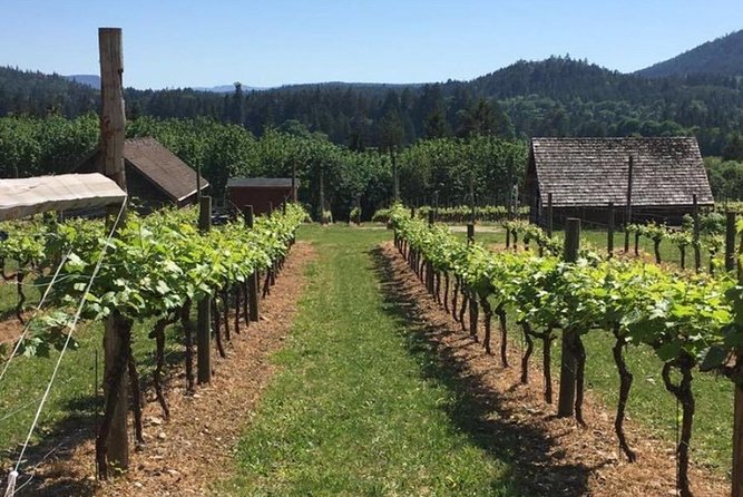 From Victoria to Cowichan Wine 6-Hour Guided Tour - Review and Refund