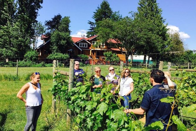 From Victoria to Cowichan Wine 6-Hour Guided Tour - Winery Experiences