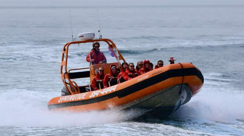 From Victoria: Whale Watching Tour by Zodiac Boat - Detailed Review: What to Expect on the Tour