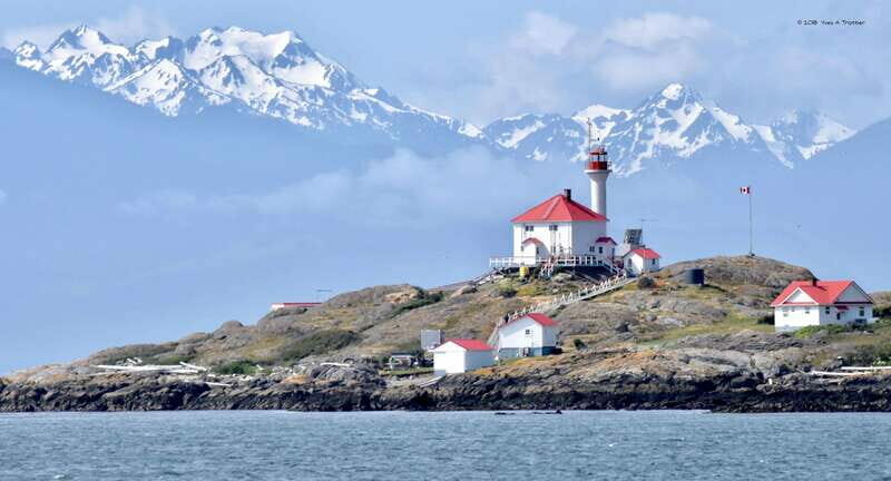 From Victoria: Whale Watching Tour by Zodiac Boat - FAQs
