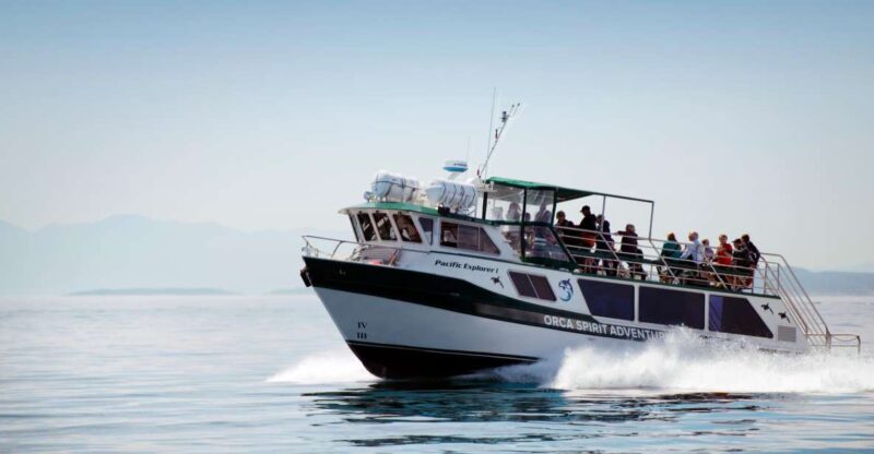 From Victoria: Whale Watching Trip on Covered Boat - Experience and Highlights