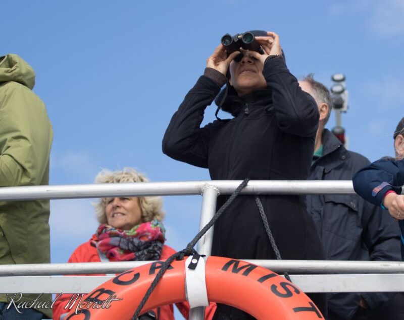From Victoria: Whale Watching Trip on Covered Boat - Important Information