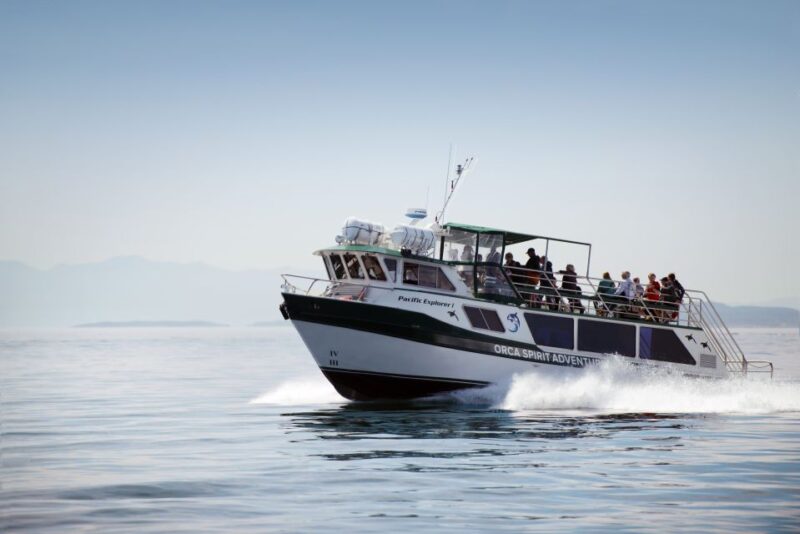 From Victoria: Whale Watching Trip on Covered Boat - Customer Reviews and Ratings