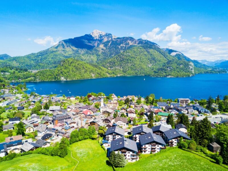 From Vienna: Austrian Lakes and Salzburg Private Tour - Inclusions