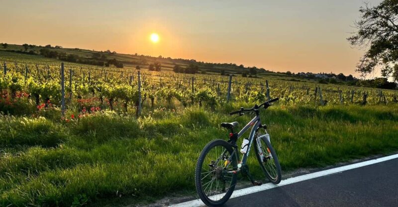From Vienna: Burgenland Bike and Wine Tasting Tour - Experience Details
