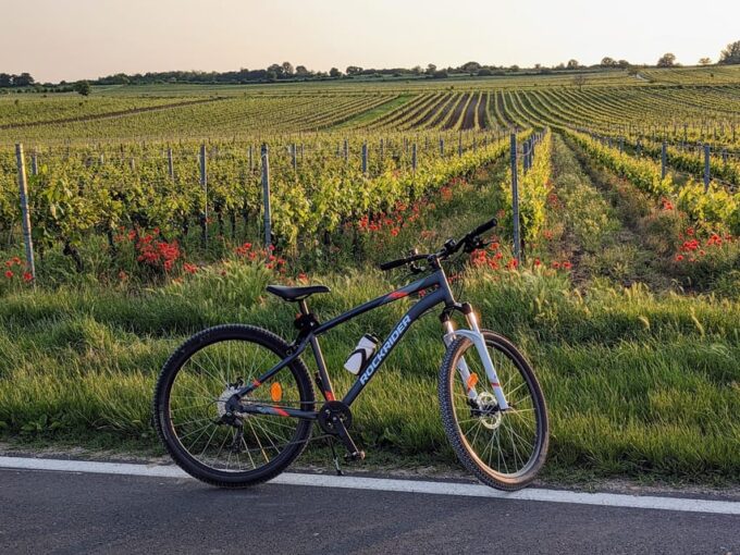 From Vienna: Burgenland Bike and Wine Tasting Tour - Duration and Pricing