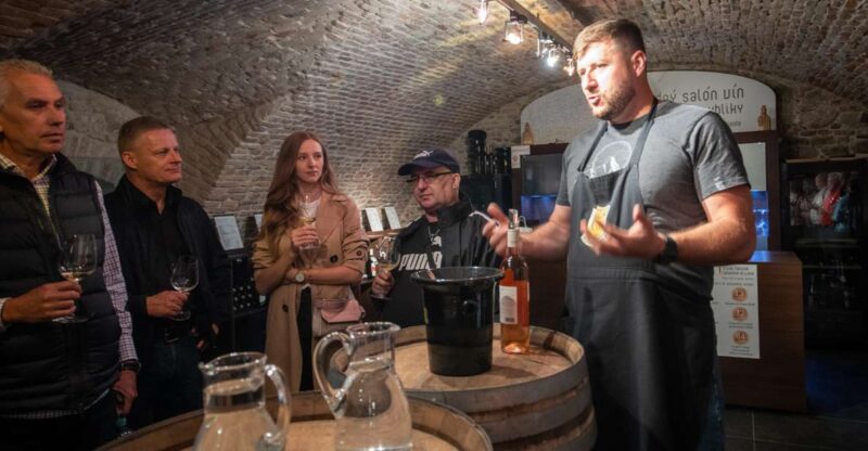 From Vienna: Explore the Tastes of Bratislava on a Day Trip - Wine Tasting and Sampling