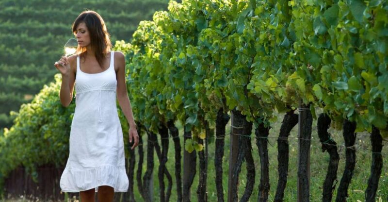 From Vienna: Half-Day Countryside Wine Tour With Meal - Itinerary