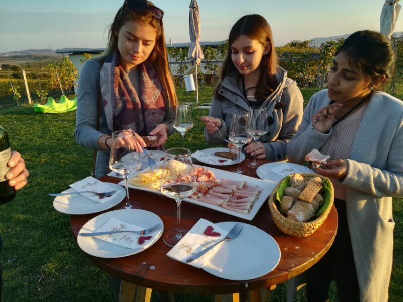 From Vienna: Half-Day Countryside Wine Tour With Meal - Highlights