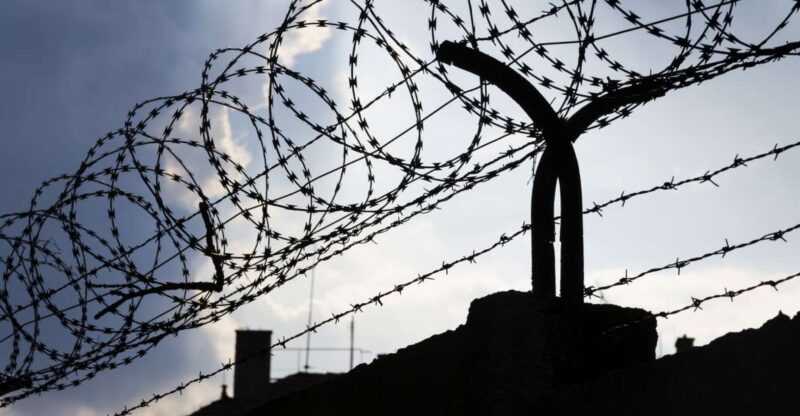 From Vienna: Private Guided Tour By Car Mauthausen Memorial - Exploring Historical Sites