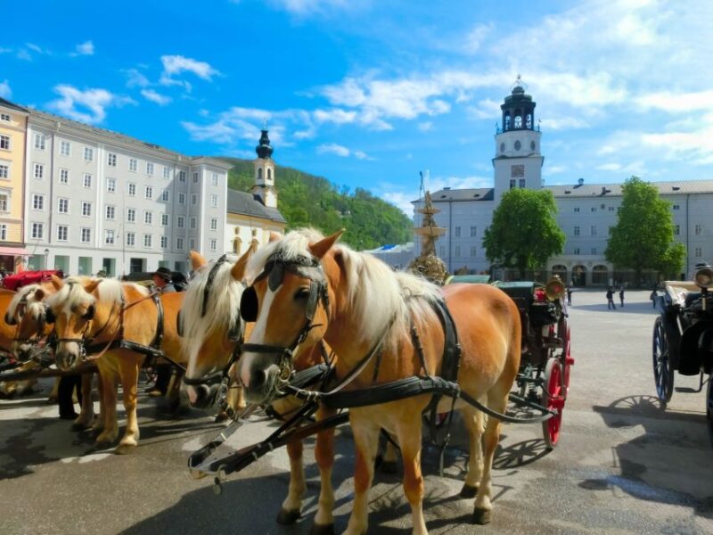From Vienna: Salzburg Small-Group Day Trip - Frequently Asked Questions