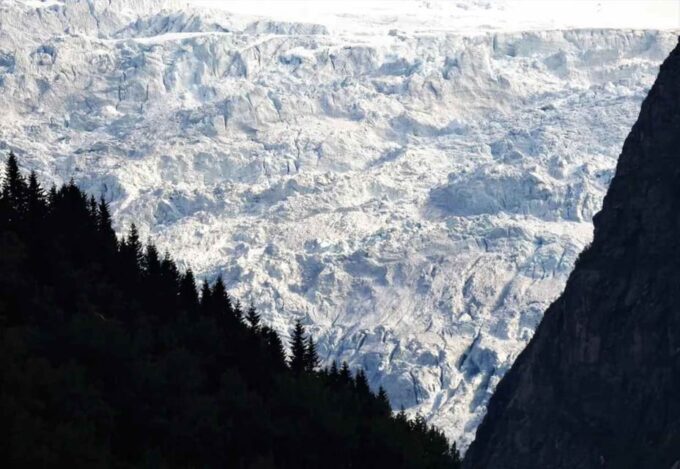 From Vik: Guided Fjord & Glacier Tour to Fjærland - Duration and Pricing