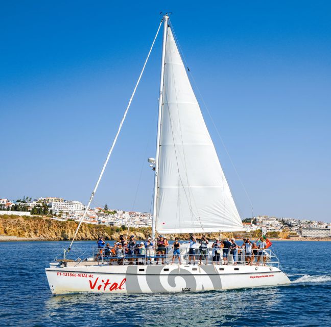 From Vilamoura: Sunset Catamaran Experience - Vessel Description