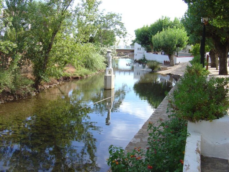From Vilamoura: Traditional Algarve Full-Day Trip - Experience Features