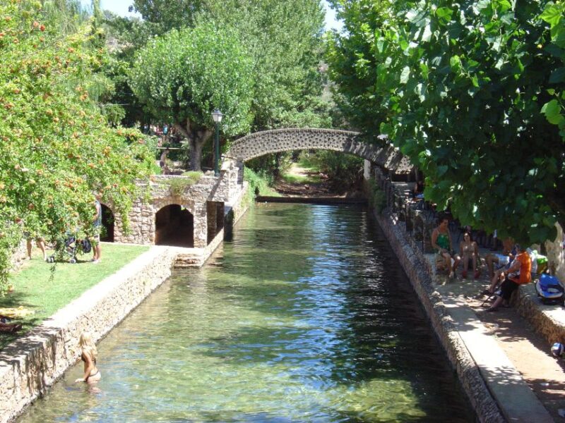 From Vilamoura: Traditional Algarve Full-Day Trip - Accessibility and Participation